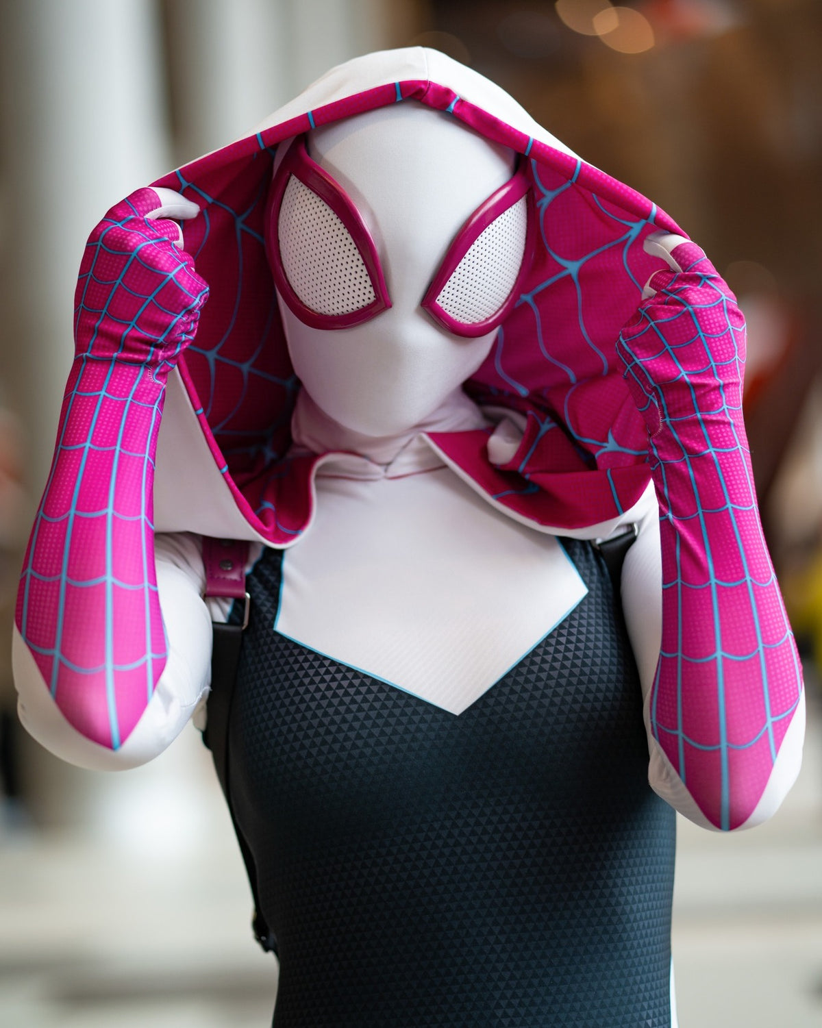 Spider Gwen Costume Adult